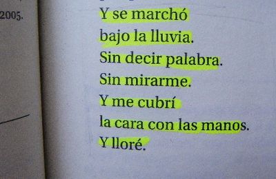 Te volví poesía.