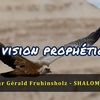 Vidéo 182 - La vision prophétique