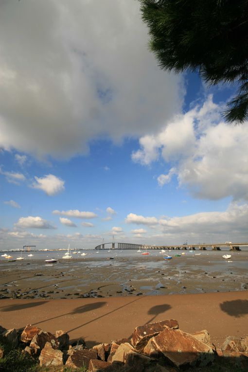 Album - Mindin-Estuaire-de-la-Loire