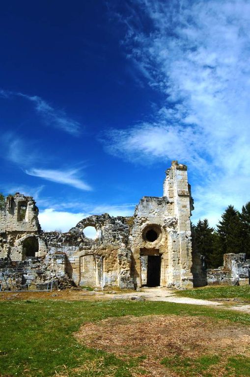 Les ruines de l'abbaye de Vauclair.