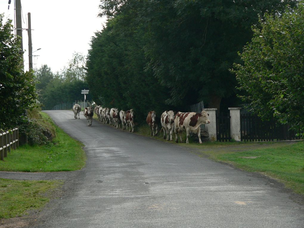 Randonnée et Championnat de France d'Endurance des Jeunes 2010