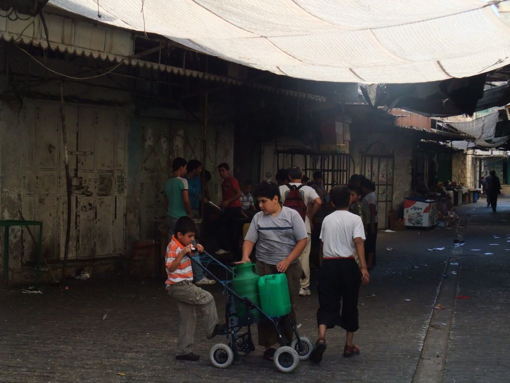 Album - Hebron / Al-Khalil