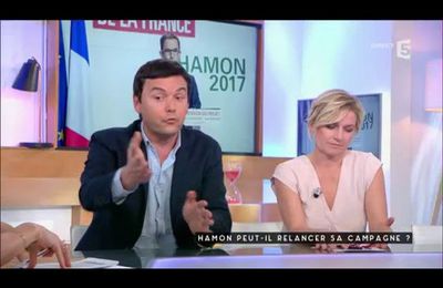 Candidature Benoît Hamon - Thomas Piketty chez #Càvous