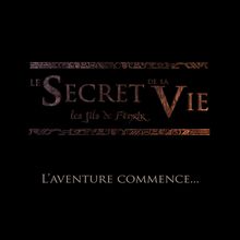 LE SECRET DE LA VIE : Un projet de court métrage heroic fantasy façon "blockbuster"