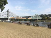 Le pont de Loschwitz est surnommé das Blaues Wunder, le miracle bleu. Les bateaux-mouches de Dresde sont propulsés par des roues à aubes.