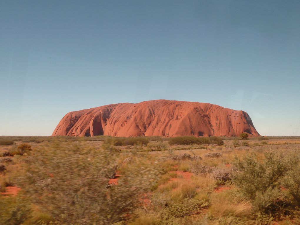 Album - 41 Uluru und die Olgas