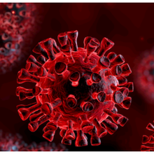 Théorie de la fuite du laboratoire du virus de la Covid : une séquence génétique « rare » ne signifie pas que le virus a été créé de toutes pièces