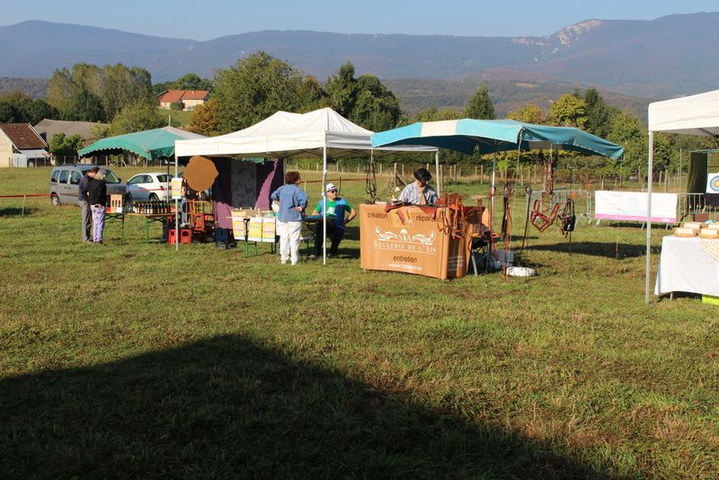 Album fête de l'âne 2016
