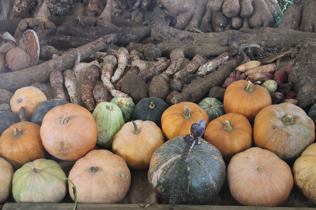 Fruits, légumes, tubercules et aromates de Polynésie