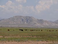 Malgré tout, nos dernières photos de Mongolie, les boules !!!