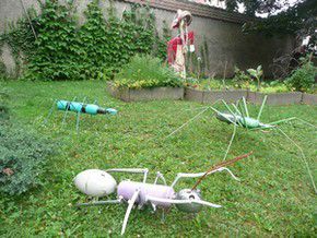 Des bestioles dans le jardin... 