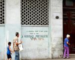 Senilidad y demencia de la sociedad cubana