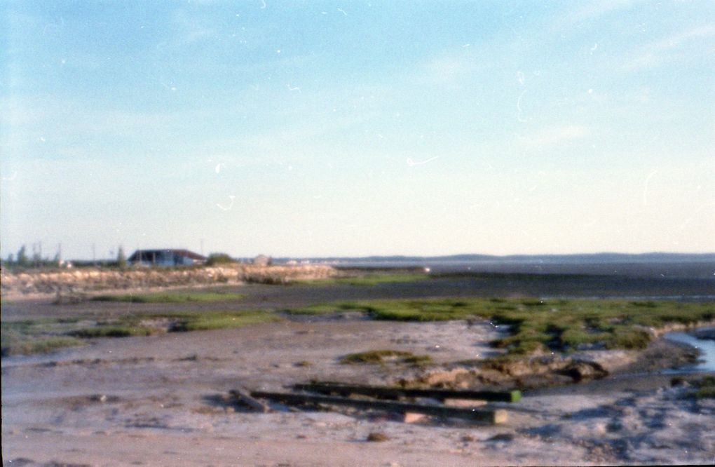 Album - Sténopé Marennes