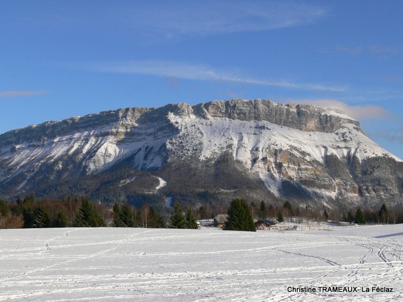 LES BAUGES