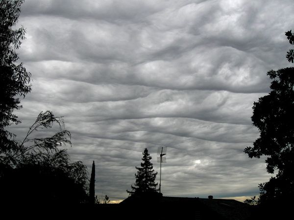 Une nouvelle forme de nuage, très impressionnante et magnifique.


Copyright : à leurs auteurs