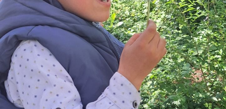 Les élèves UPE2A au jardin.