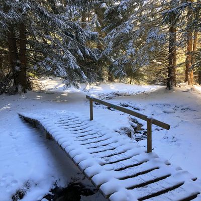 Font-Romeu jusqu'à Pyrénées 2000