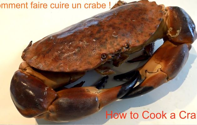 Cuire un crabe vivant marmiton