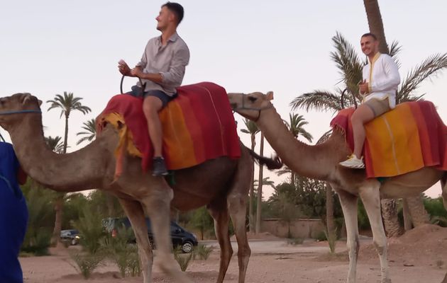 Balade à dos de chameau Marrakech