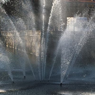 Un dimanche d'hiver aux Jardins...