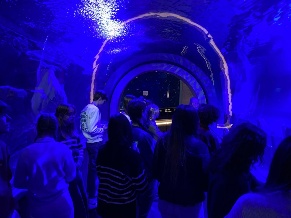 SW22 Visit to Baltic Sea science center