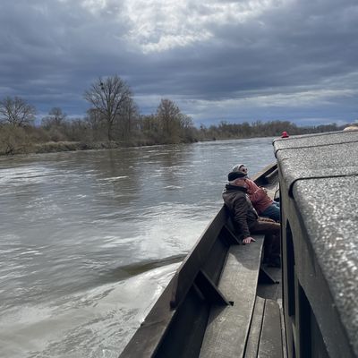 Samedi 9 mars 2024 : renouvellement du titre de navigation du Lion d'Or