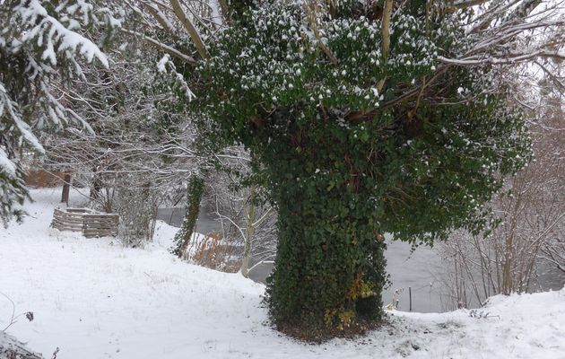 De HOENHEIM vers LA ROBERTSAU