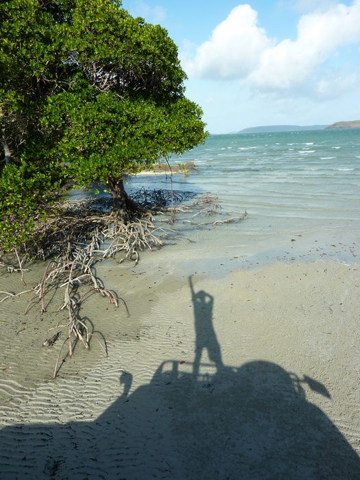 Remonte au Cape York depuis Cairns.
plage, 4x4 et Gunshot au programme!