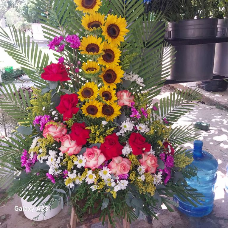 "Punto de Girasoles Milagro de Dios" ofrece variedad de flores al mayor y detal en el Trigal Norte (Publicidad)