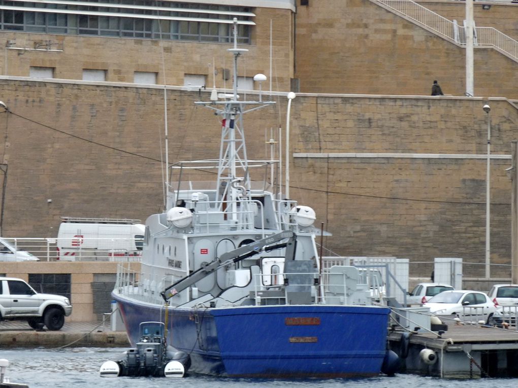 MAUVE  PM29 ,  Vedettes des affaires maritimes dans le port de Marseille