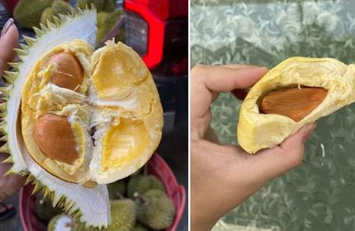 Au cœur des durians – Fruit de saison (24-08)