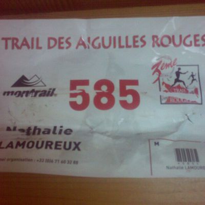 Trail des Aiguilles Rouges 2009