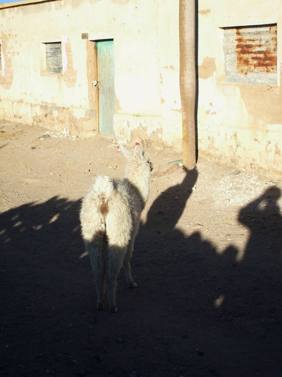 atacama et sud lipez