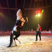 Am Mittwoch, 20. März heißt es um 16 Uhr "Manege frei" für den Zirkus Renz in Veitshöchheim auf dem Geisbergparkplatz - Veitshöchheim News