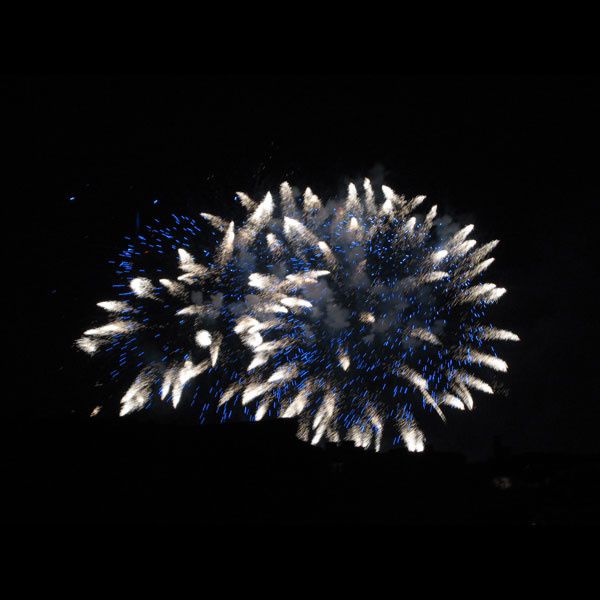 Our guests book and some pictures of fireworks over the Eiffel Tower - Notre livre d'Or et quelques photos sur le feu d'artifice du 14 juillet.