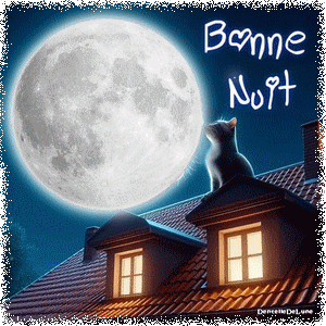 Bonne nuit - gif - chat - lune-a