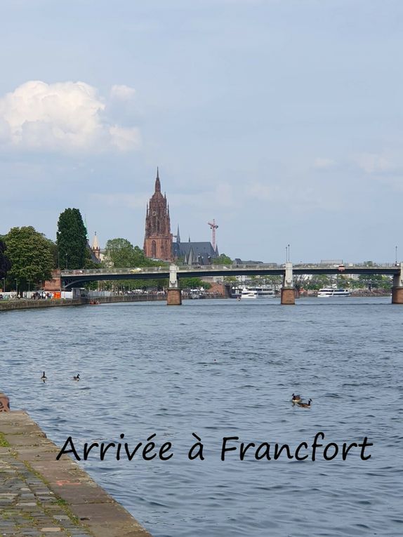 Voyage croisière sur le Rhin