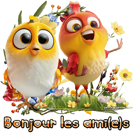 Petits oiseaux rigolos - gif animé - bonjour les ami(e)s