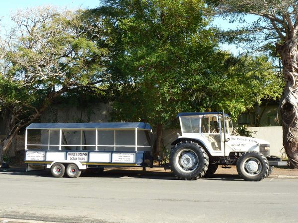 AFRIQUE DU SUD-MOZAMBIQUE en passant par le SWAZILAND