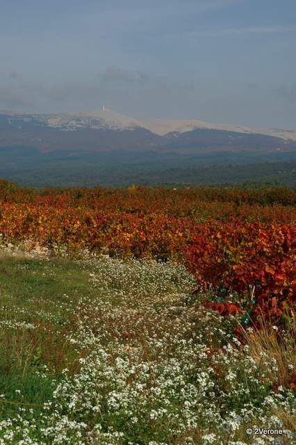 Album - Regard Paysages