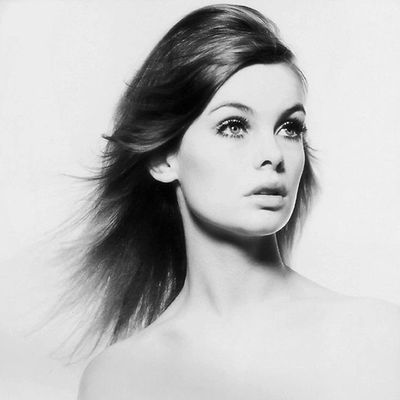JEAN SHRIMPTON
