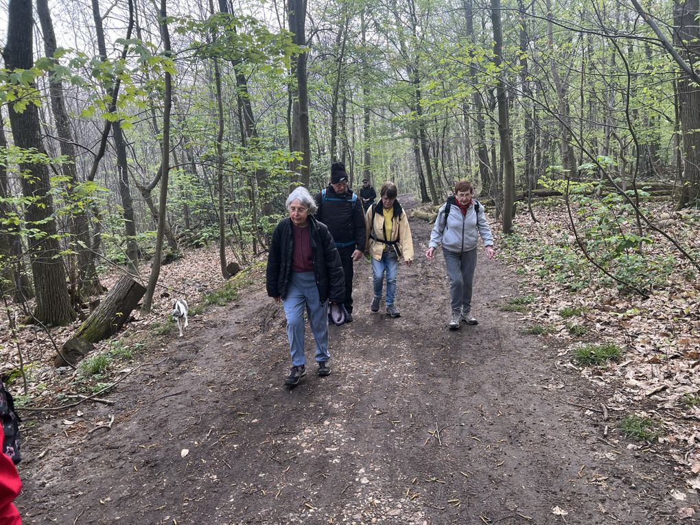 Randonnée de Sèvres Ville d’Avray à St Nom le Bretèche - 19 km.