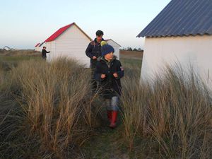 Balades en bord de Mer