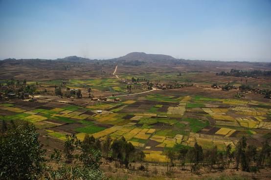 Hauts-plateaux de Madagascar du 14 au 25 octobre 2010