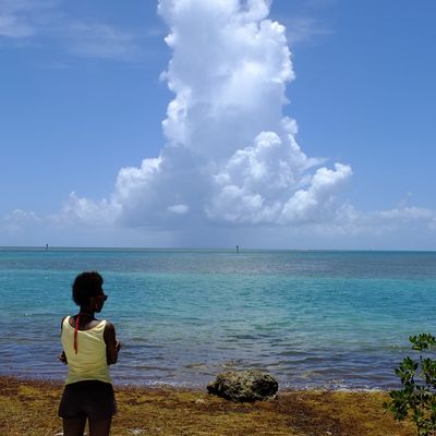 Sur la route des Florida's Keys and Key West