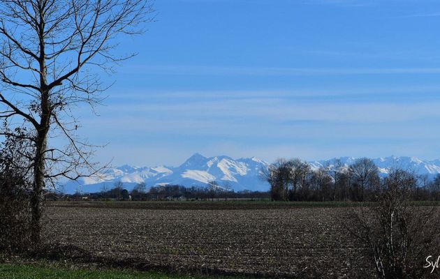 En Béarn, le dimanche