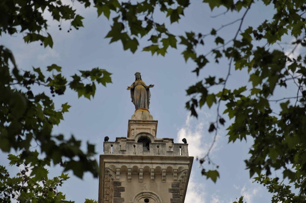 Les photos sont en principe rangées par thème mais le défilement peut-être aleatoire et en tous cas sans critère de classement ou de jugement