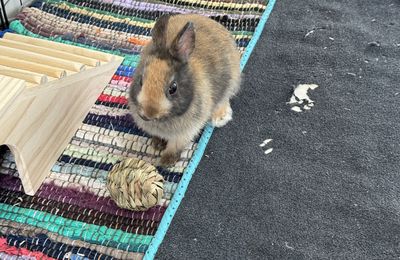Mon petit bonhomme joue avec sa balle