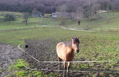 PONEY-CLUB -LA LISIERE- EPAGNY