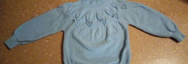 Le pull aux raisins de Mimi